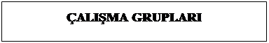 Metin Kutusu: ÇALIŞMA GRUPLARI